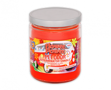 Load image into Gallery viewer, 13 0z LolliPets Pet Odor Exterminator Candle- Pets in the Park Flavor -MADE IN USA