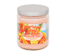 Load image into Gallery viewer, 13 0z LolliPets Pet Odor Exterminator Candle- Pets in the Park Flavor -MADE IN USA