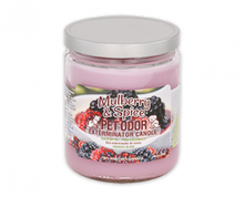 Load image into Gallery viewer, 13 0z LolliPets Pet Odor Exterminator Candle- Pets in the Park Flavor -MADE IN USA