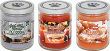 Load image into Gallery viewer, 13 0z LolliPets Pet Odor Exterminator Candle- Pets in the Park Flavor -MADE IN USA