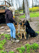 Load image into Gallery viewer, Woof ProTrain Treats - sample bag