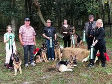 Load image into Gallery viewer, TriActa - Regular Strength - Canine Feline Natural Skeletal Supplement