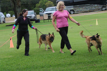 Load image into Gallery viewer, Woof N Walk Latigo Leather 6' professional leash