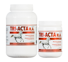 Load image into Gallery viewer, EQUINE TRI-ACTA H.A. HORSE
