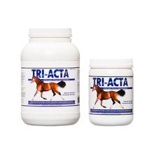 Load image into Gallery viewer, EQUINE TRI-ACTA HORSE