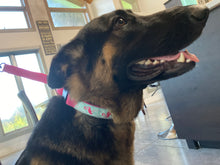 Load image into Gallery viewer, Woof N Walk Adjustable Pet Collar