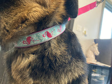 Load image into Gallery viewer, Woof N Walk Adjustable Pet Collar