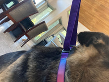 Load image into Gallery viewer, Woof N Walk Adjustable Pet Collar