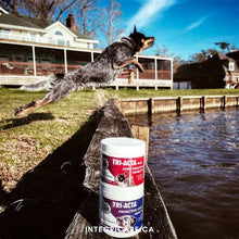 Load image into Gallery viewer, TRI-ACTA H.A. Maximum Strength with Hyaluronic Acid, Dog & Cat All Natural Skeletal Supplement