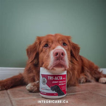 Load image into Gallery viewer, TriActa - Regular Strength - Canine Feline Natural Skeletal Supplement