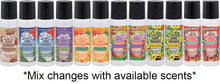 Load image into Gallery viewer, Odor Eliminator Travel Spray - Mini 2.5 oz - Assorted Scents - Made in USA
