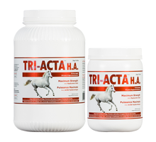Load image into Gallery viewer, EQUINE TRI-ACTA H.A. HORSE
